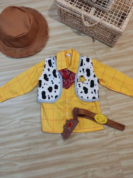 Fantasia Woody Toy Story