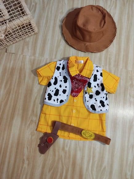 Fantasia Woody Toy Story