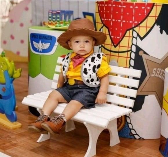 Fantasia Woody Toy Story