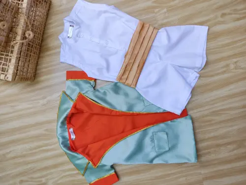 Fantasia príncipe luxo