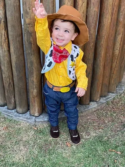 Fantasia Woody Toy Story