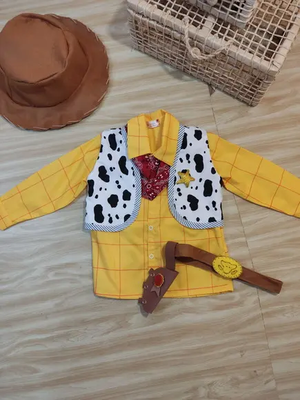 Fantasia Woody Toy Story