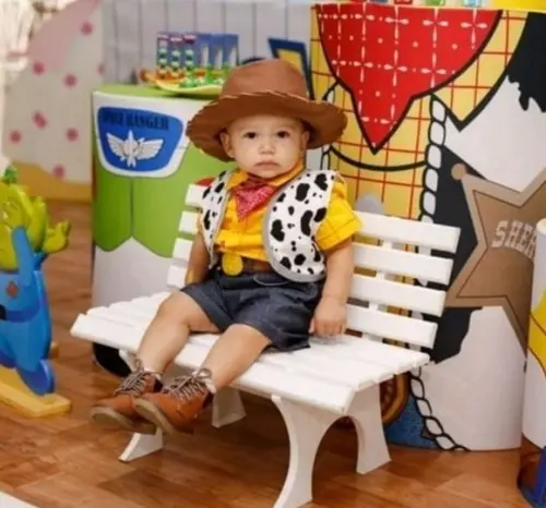 Fantasia Woody Toy Story