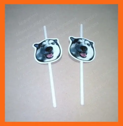 Canudos de Papel com Foto do Seu Pet Doguinho Gatinho