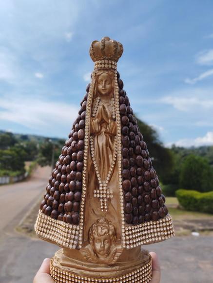 Nossa Senhora Aparecida 27cm Manto Café