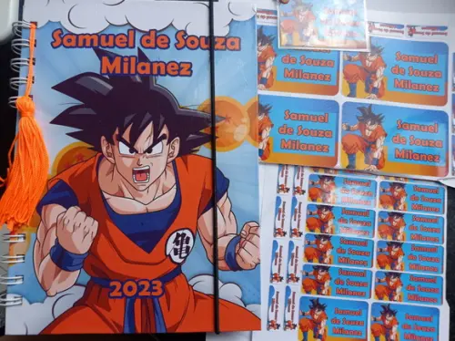 Agenda Escolar Personalizada A5 Infantil Diária
