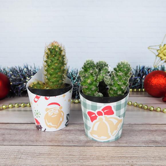 Rotulo para Suculenta Natal Lembrancinha