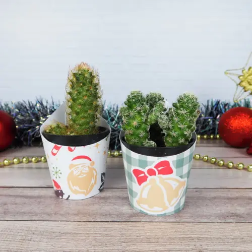 Rotulo para Suculenta Natal Lembrancinha