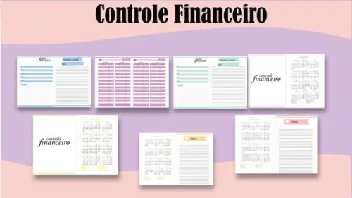 Controle Financeiro Feminino - Arquivo Digital