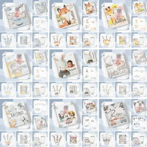 Combo Arquivo Folhas Extras de Cade e Livro Bb - Lançamento