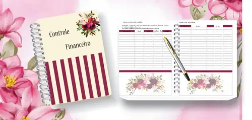 Planner Financeiro Feminino Arquivo Digital