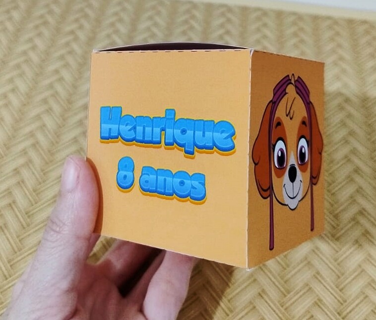 6 Caixas Cubo Patrulha Canina Lembrancinhas para Festa Infantil,
