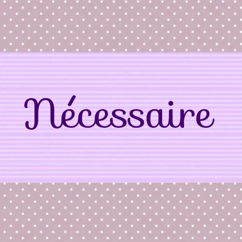 Nécessaire