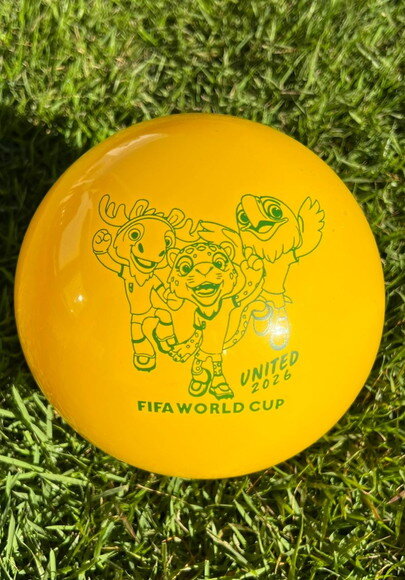 Kit 20 Bolas Personalizadas (23cm)