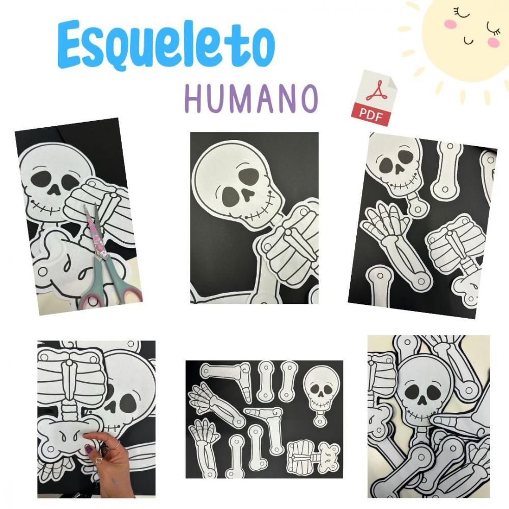 Esqueleto Articulado para Imprimir (arquivo Pdf)