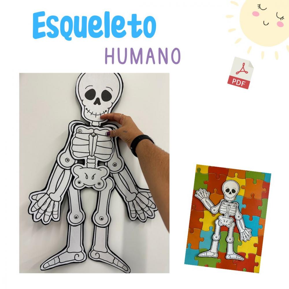 Esqueleto Articulado para Imprimir (arquivo Pdf)