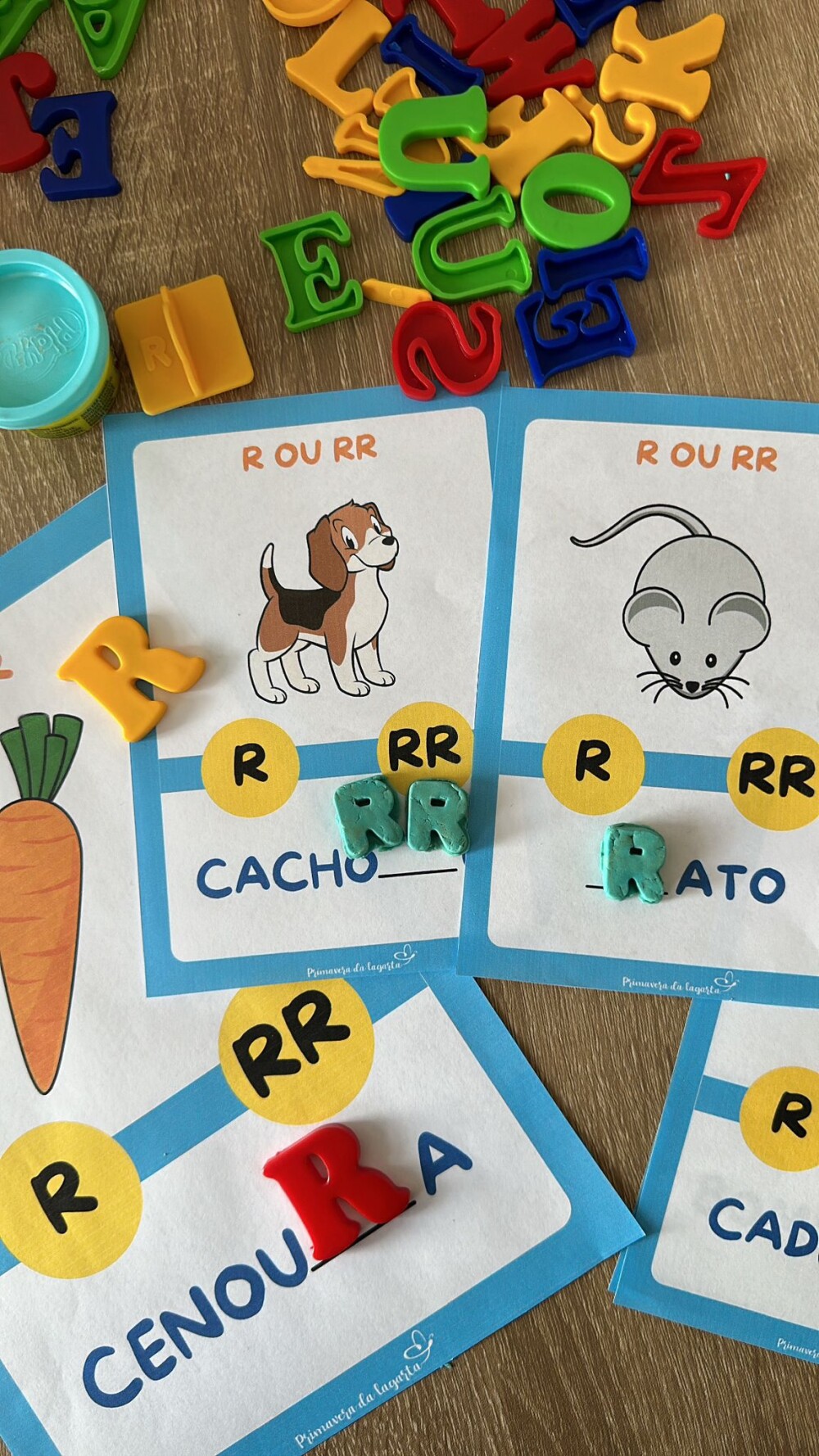Atividade R ou RR (PDF)