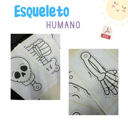 Esqueleto Articulado para Imprimir (arquivo Pdf)