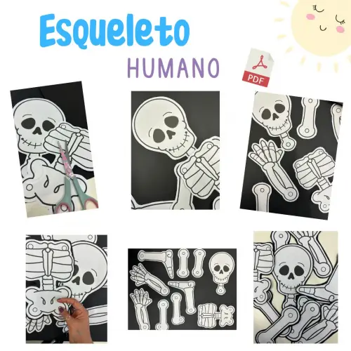 Esqueleto Articulado para Imprimir (arquivo Pdf)