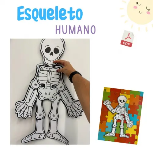 Esqueleto Articulado para Imprimir (arquivo Pdf)