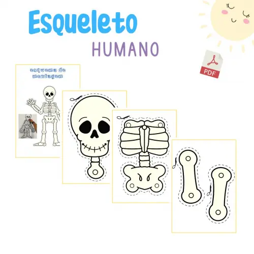 Esqueleto Articulado para Imprimir (arquivo Pdf)