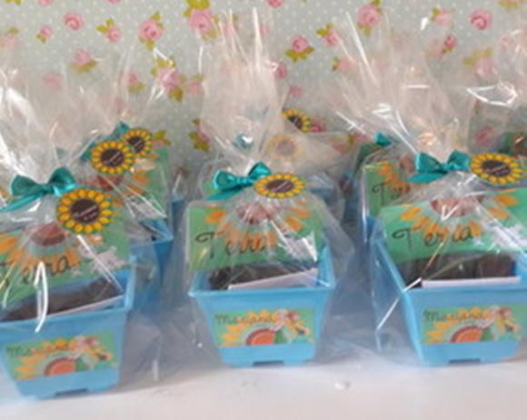 Jardineira Kit Ecológico Frozen Fever