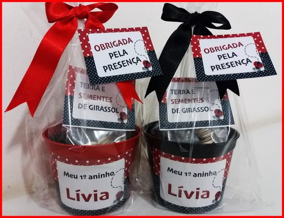 Kit Ecológico Médio - Joaninha
