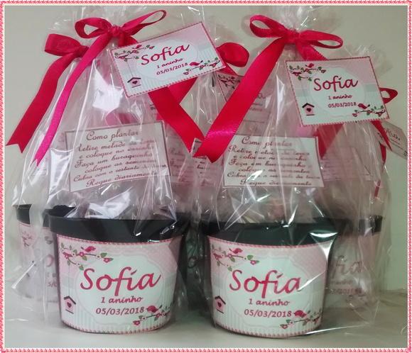 Kit Ecológico Médio Jardim Encantado