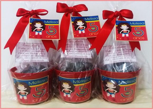 Kit Ecológico Médio Mulher Maravilha