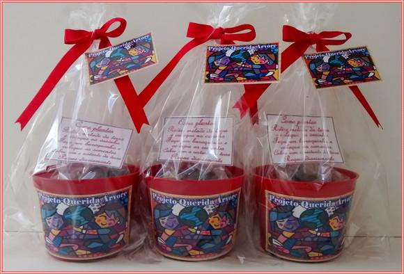 Kit Ecológico Médio Romero Brito