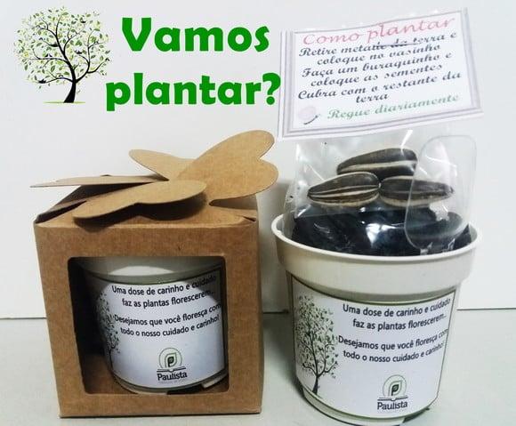 Lembrancinha para Plantar Brinde Escolar