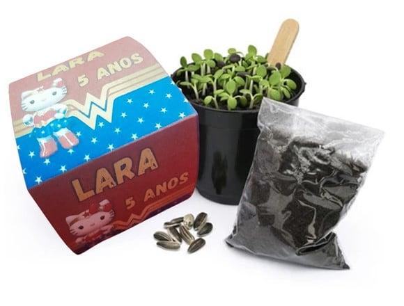 Kit Plantio Todos os Temas