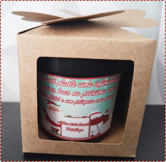 Lembrancinha de Natal - Kit Ecológico para Plantar