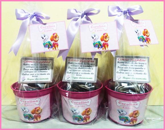 Lembrancinha Ecológica Sky