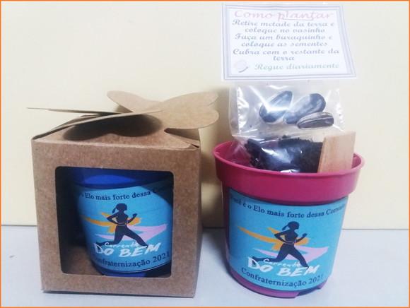 Lembrancinha para Plantar - Kit Plantio