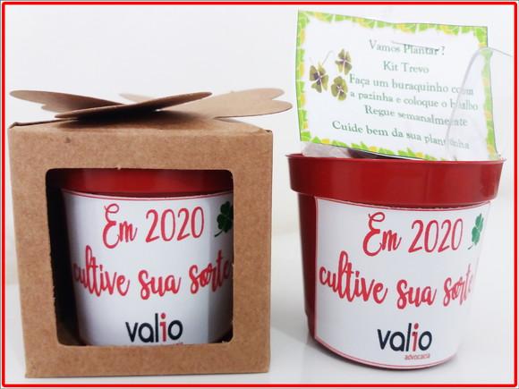 Lembrancinha para Plantar com Trevo