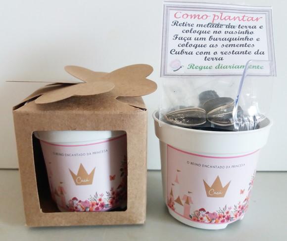 Lembrancinha para Plantar Jardim da Princesa