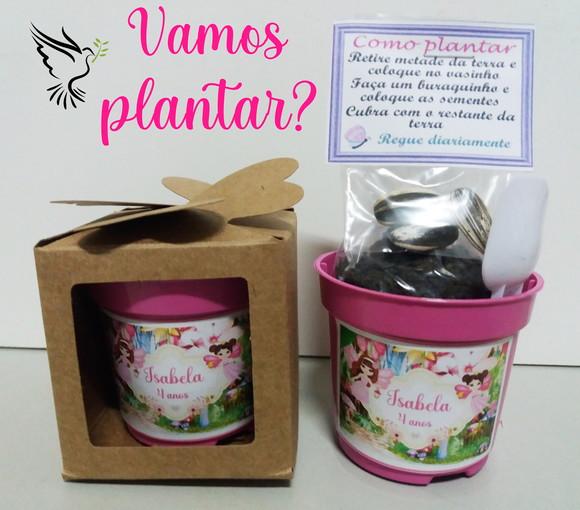 Lembrancinha para Plantar Jardim das Fadas