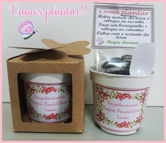 Lembrancinha para Plantar Jardim Encantado