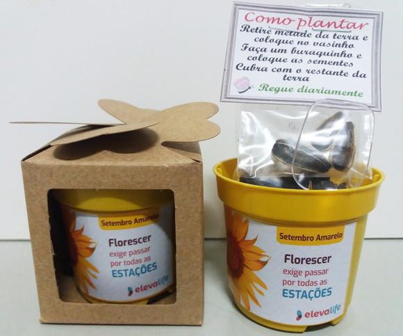 Lembrancinha para Plantar Girassol- Setembro Amarelo