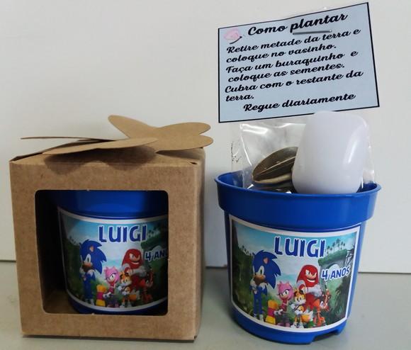 Lembrancinha para Plantar Sonic e a Turma