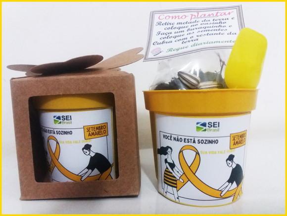 Lembrancinha para Plantar Setembro Amarelo