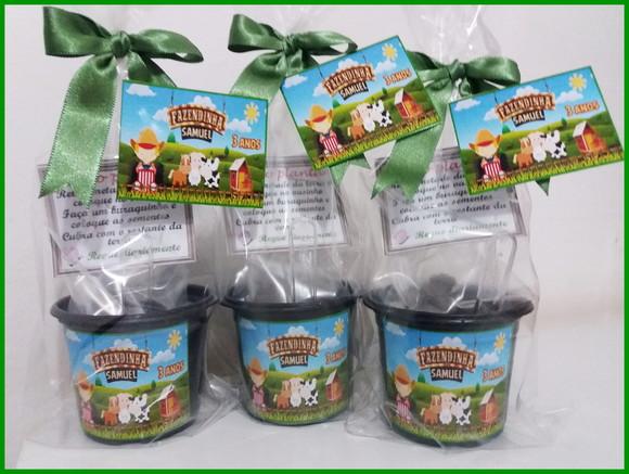 Mini Kit Ecológico -fazendinha
