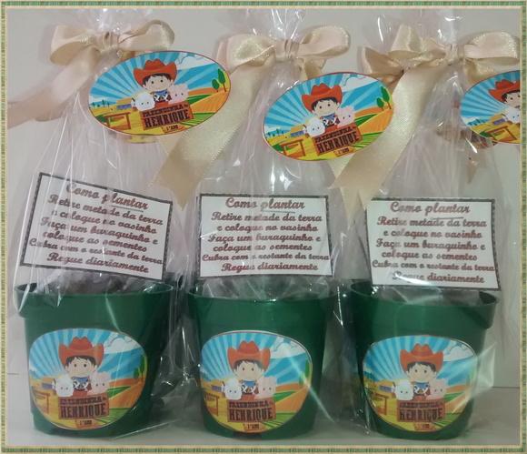Mini Kit Ecológico Fazendinha