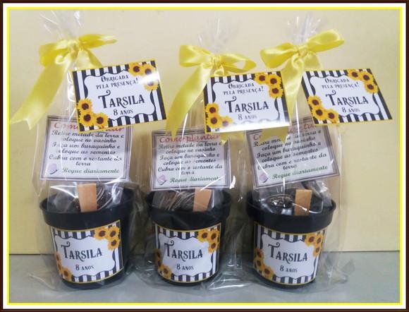 Mini Kit Ecológico Girassol