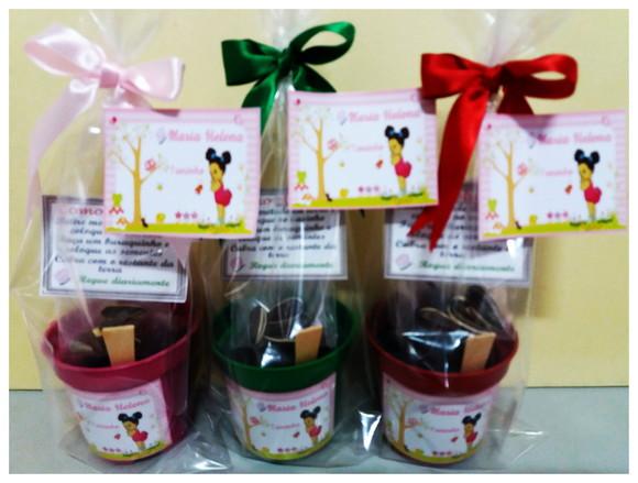 Mini Kit Ecológico Jardim