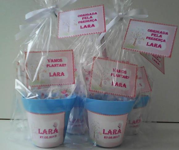 Mini Kit Ecológico Jardim