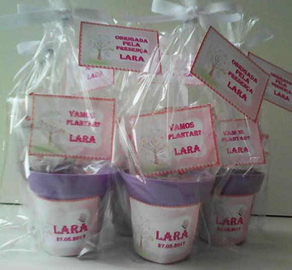 Mini Kit Ecológico Jardim