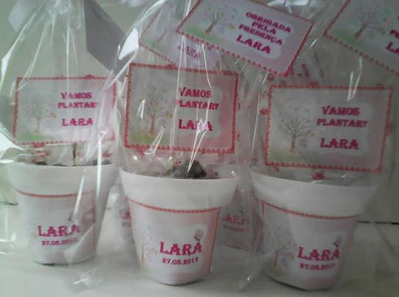 Mini Kit Ecológico Jardim