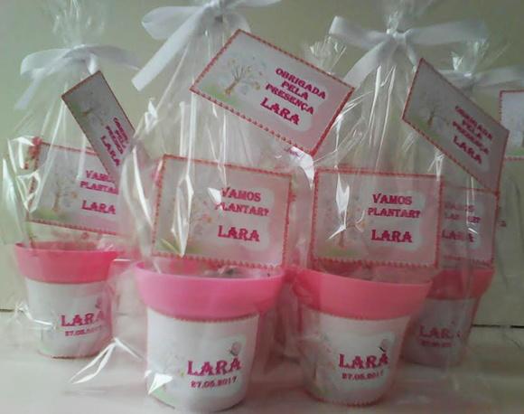 Mini Kit Ecológico Jardim